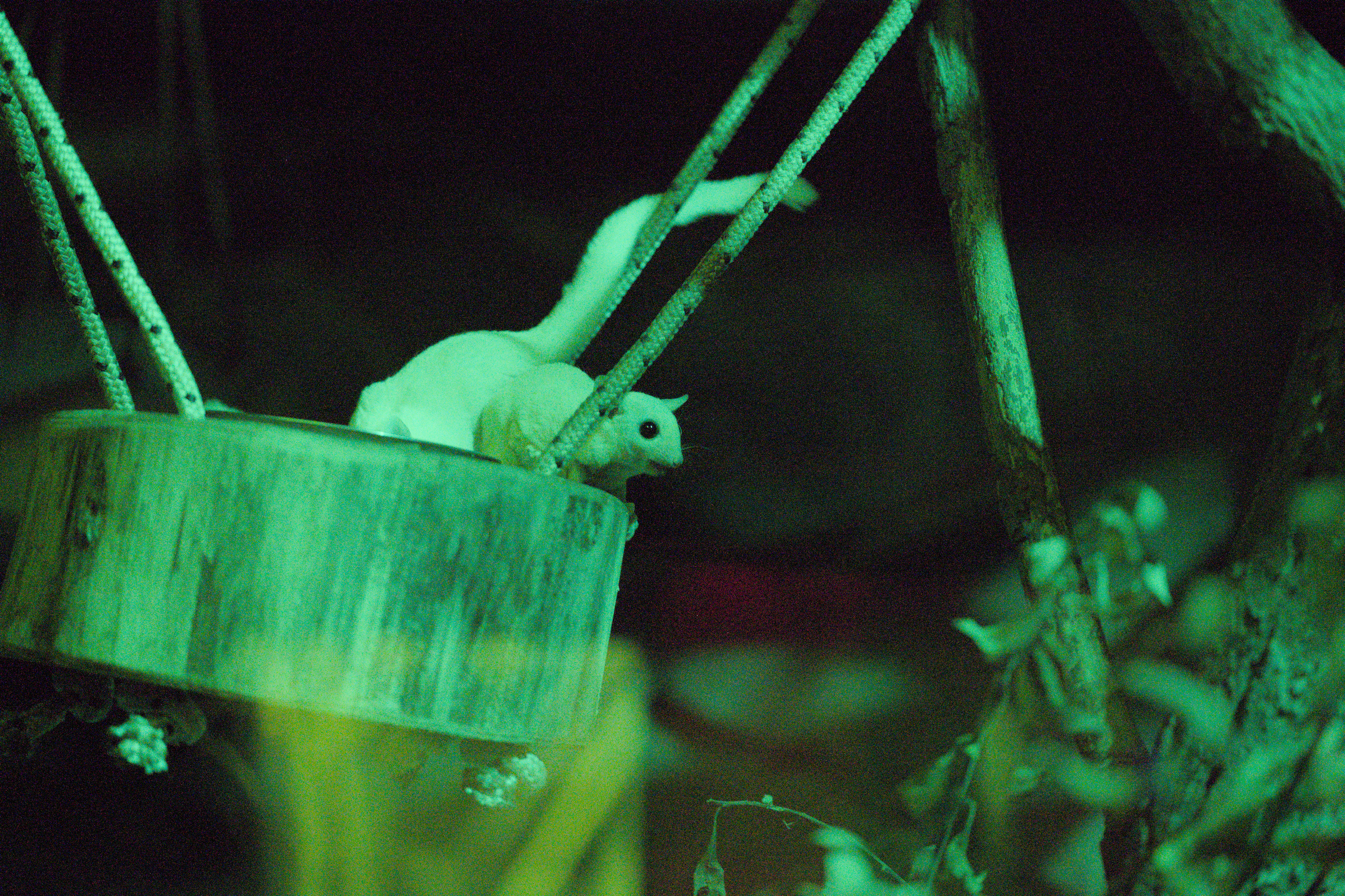 2025/10/12 - zoo/DSC_0266.jpg